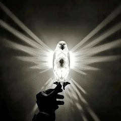 Bird Wall Lamp